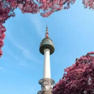 seoul tower sera